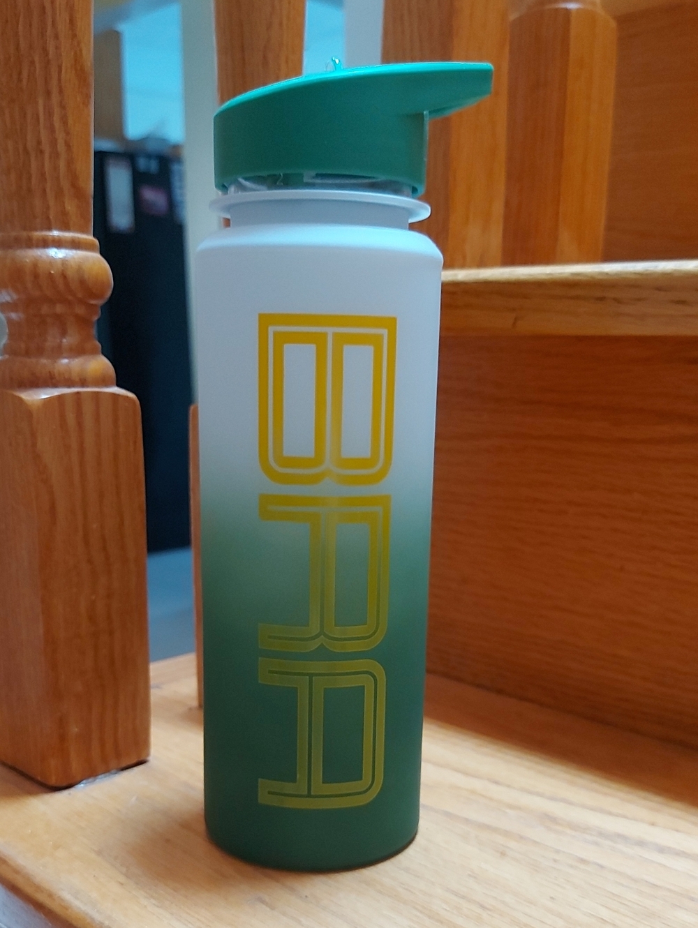 NWOT Fifa Brazil Ombre Green Water Bottle with Flip Spout